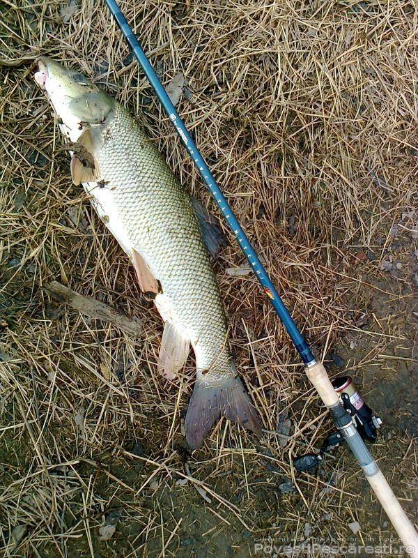 Interesante :) - capturamreana15kgsi59cmpeoltprimadfinviatameala42ani.jpg